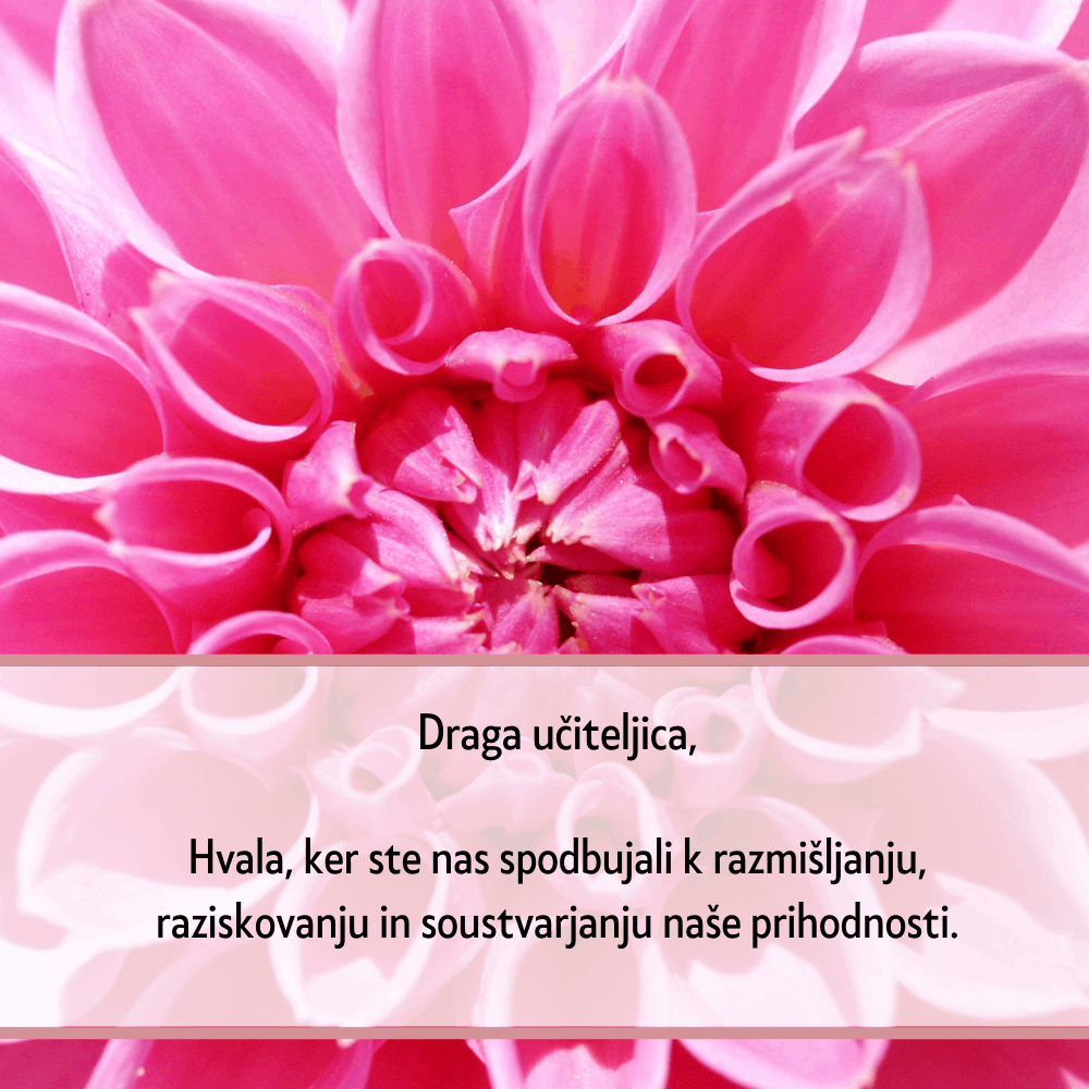 Najbolše darilo za učiteljico_Najboljša učiteljica je tista, ki ne samo poučuje predmete, ampak gradi tudi mostove med znanjem in življenjem, omogoča učencem, da razumejo svet okoli sebe in razvijajo svoje sposobnosti.